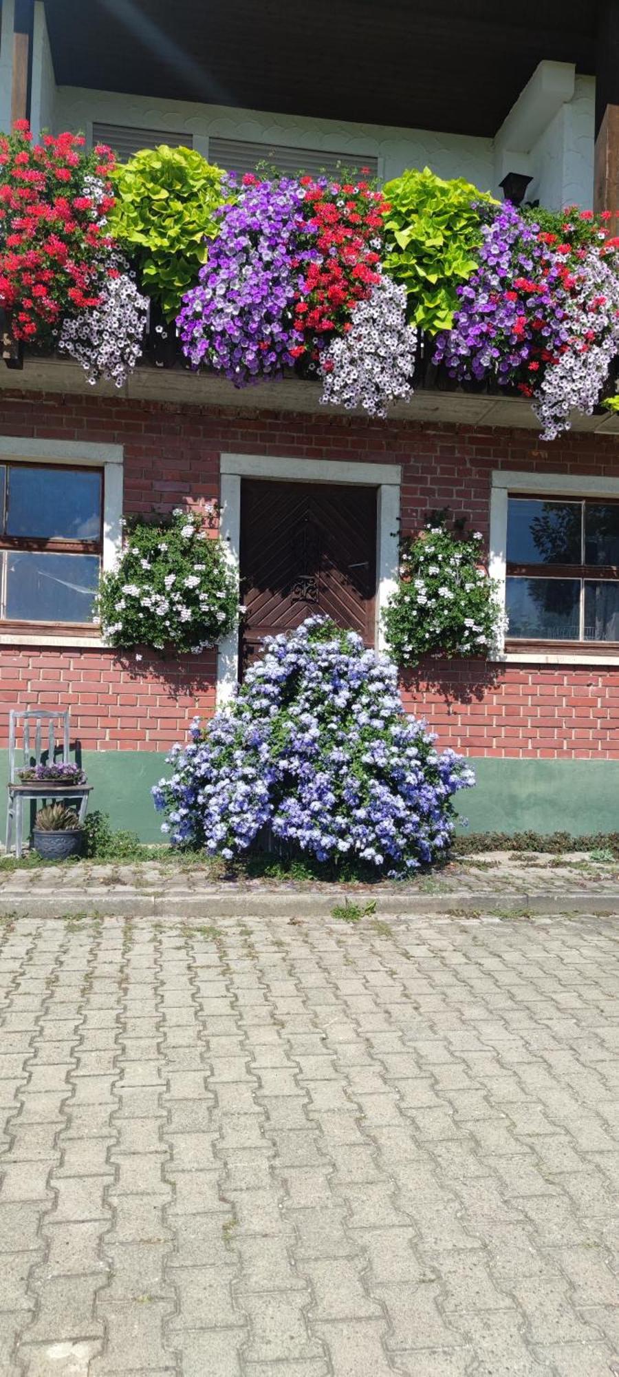 Gaestehaus Fechtig Hergensweiler Buitenkant foto
