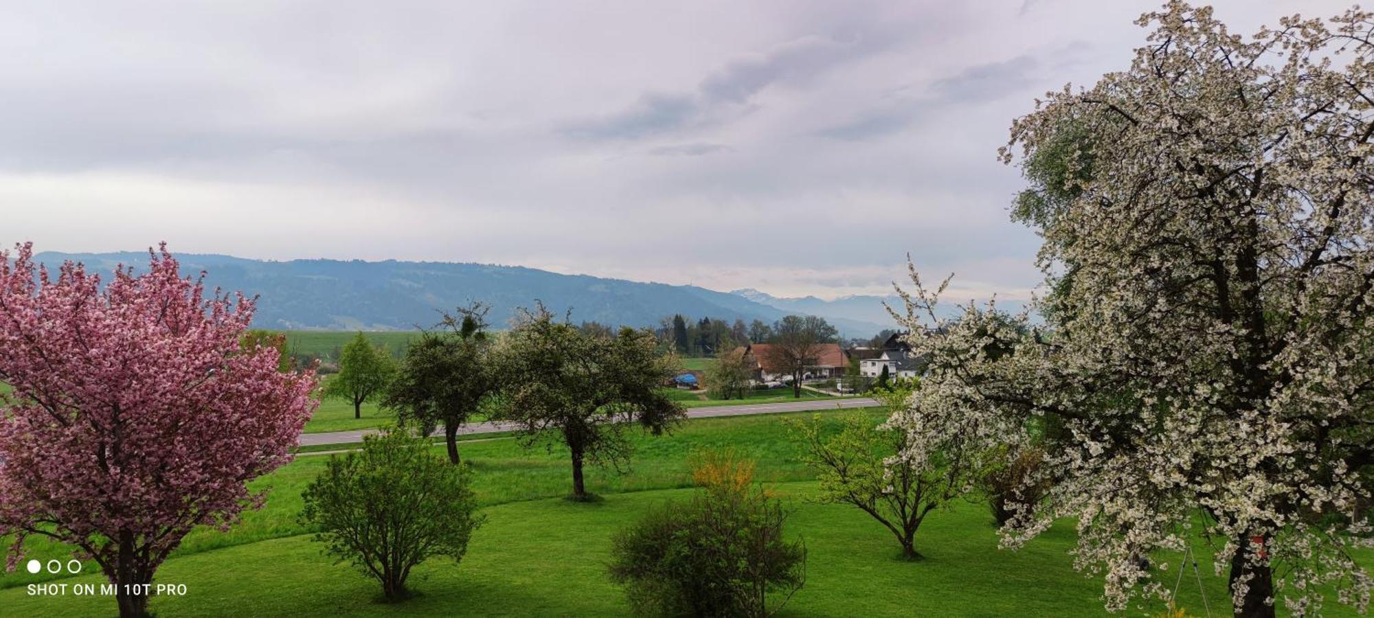Gaestehaus Fechtig Hergensweiler Buitenkant foto